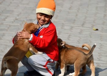 pexels-dhruv-khichi-27563587-15248649